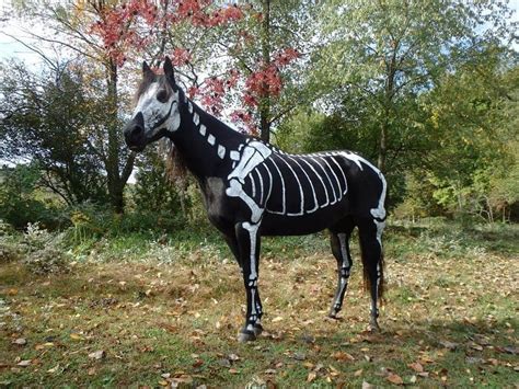 The 22 Best Horse Halloween Costumes Of All Time