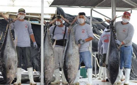 México cumplirá retos ambientales del T MEC en pesca y acuacultura El