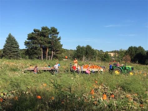 These Charming Pumpkin Patches In Minnesota Are Picture Perfect For