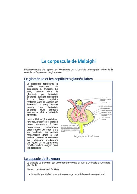 Physiologie Des Systèmes Intégrés Les Principes Et Fonctions Rr Le