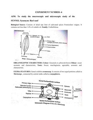 Practical Manual Of Pharmacognosy Diploma In Pharmacy St Year Pdf