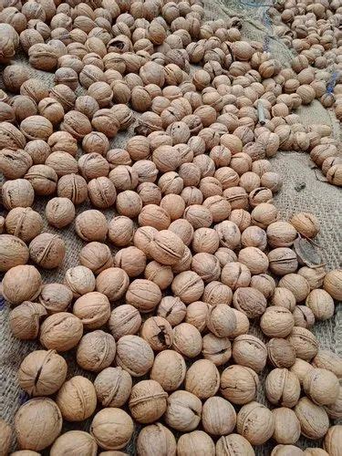 Kashmiri Shell Walnuts Packaging Type Box At Rs 280 Kg In Pampora