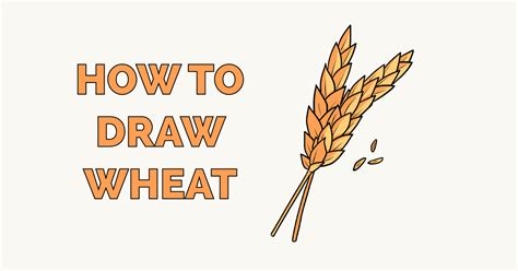 How to Draw Wheat - Really Easy Drawing Tutorial