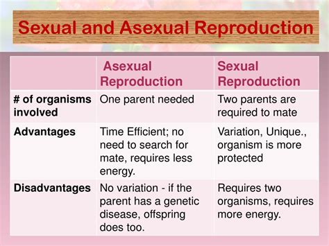 Ppt Reproduction In Flowering Plants Powerpoint Presentation Free