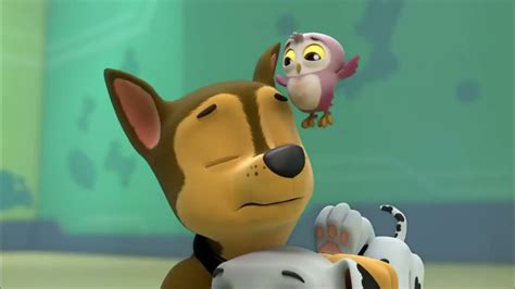 Paw Patrol Marshall S Weekly Wipeouts Season Pups Save A Hoot