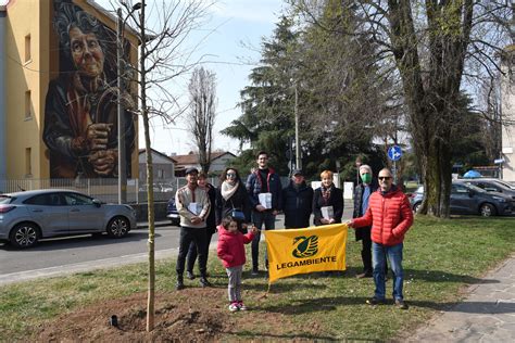 Legambiente Brescia Messe A Dimora Sette Nuove Piante Di Acero Nel