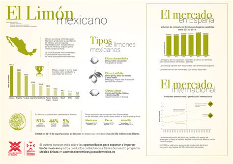 Todo Sobre El Lim N Casa De Mexico