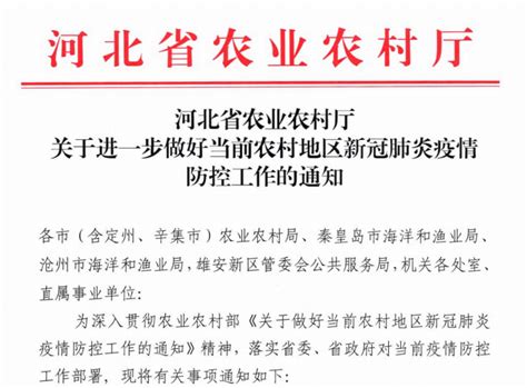 河北最新通知！事关农村地区新冠肺炎疫情防控工作澎湃号·政务澎湃新闻 The Paper