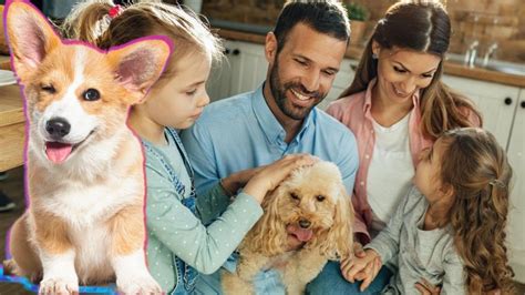 Contén el aliento antes de saber cómo ven los perros a los humanos y el