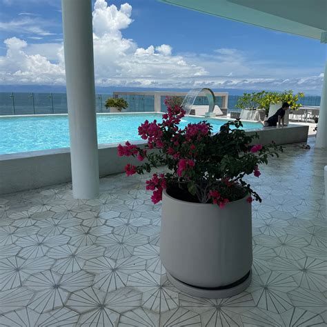 BOLONGO: Prices & Condominium Reviews (Punta de Mita, Mexico)