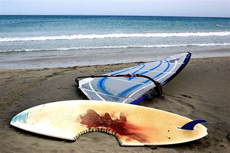 Surfboard With Shark Bite Stock Photos, Pictures & Royalty-Free Images ...