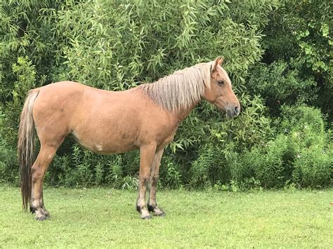 Hillary Fisher Wallpaper