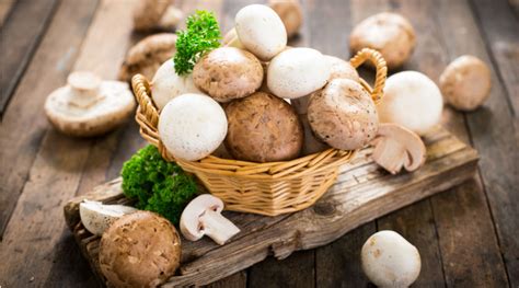 Découvrez les secrets des champignons réels alliés santé Bio à la une