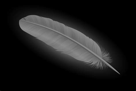 Gray Feather Meaning and Symbolism | Color Meanings