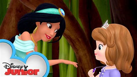 Princess Sofia The First Meets Disney Aladdin S Princess Jasmine