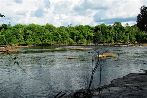 Im Parque Nacional Do Ja Fans De Am Rica Del Sur S Damerikafans