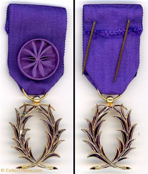 M Daille De L Ordre Des Palmes Acad Miques Officier Militaria