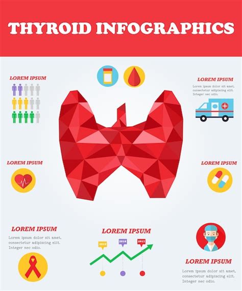 Premium Vector Thyroid Infographics Medical Concept Poster