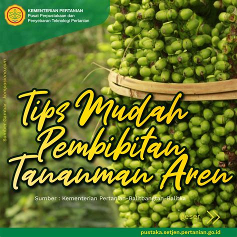 Tips Mudah Pembibitan Tanaman Aren