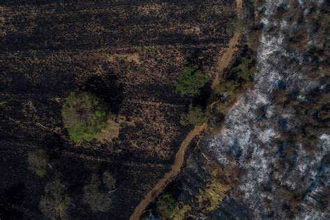 Em 10 dias queimadas destroem vegetação e mudam paisagem no interior