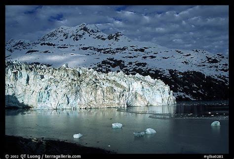 Lamplugh Tidewater Glacier And Mt Cooper Glacier Bay National Park