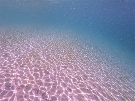 Solve Pink Sand Near To Shore Lesser Sunda Islands Of The Malay