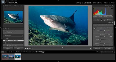 Adobe photoshop lightroom что это за программа Редактирование и