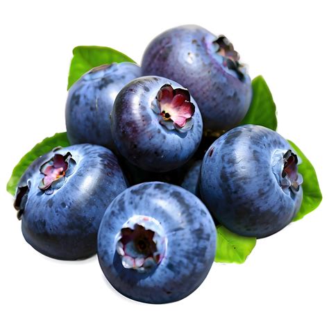 Blueberries Png Png Images 200