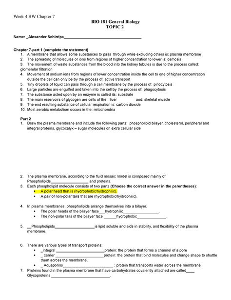 WEEK 4 HW CH 7 Worksheet Week 4 HW Chapter 7 BIO 181 General Biology