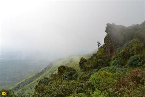 Mullayanagiri Trek: Trek to the Highest Peak in Karnataka