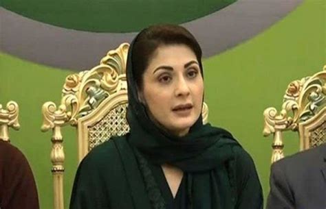 Maryam Nawaz Appointed Pml N Senior Vice President Authorised To ‘reorganise Party