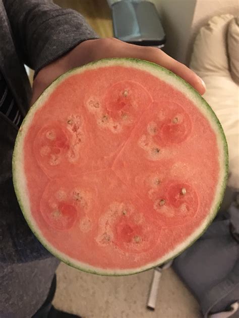 The Pattern Inside This Watermelon Rmildlyinteresting