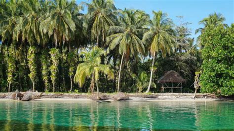 Como ir da cidade do Panamá para Bocas del Toro 2025 Grupo Dicas De