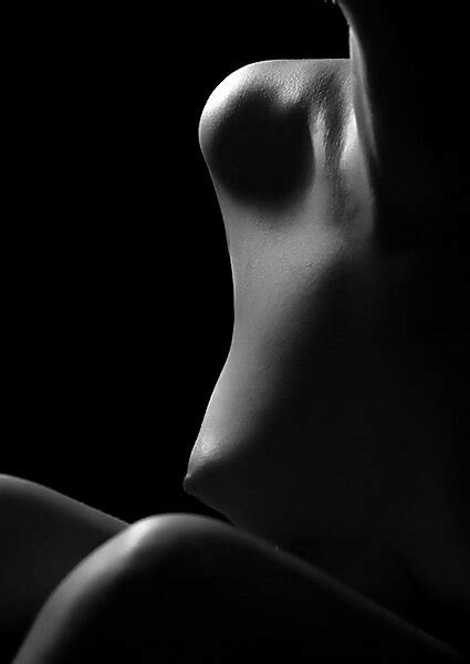 Erotica Mix Vol B Porn Pic