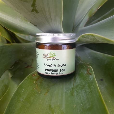 ON SALE THIS WEEK – Plant Essentials