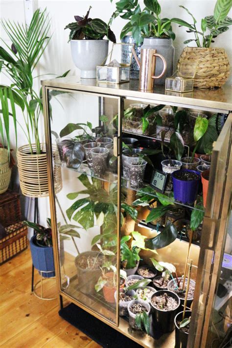 IKEA Plant Cabinet DIY - How To Hack IKEA RUDSTA Into A Greenhouse ...