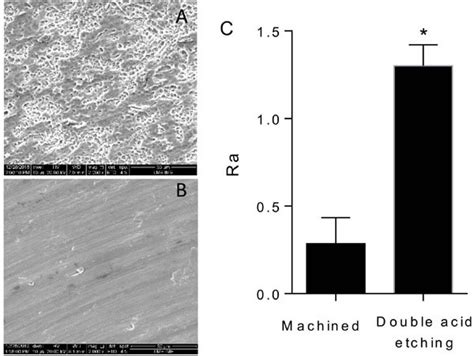 (A) Representative scanning electron micrograph of the double ... 