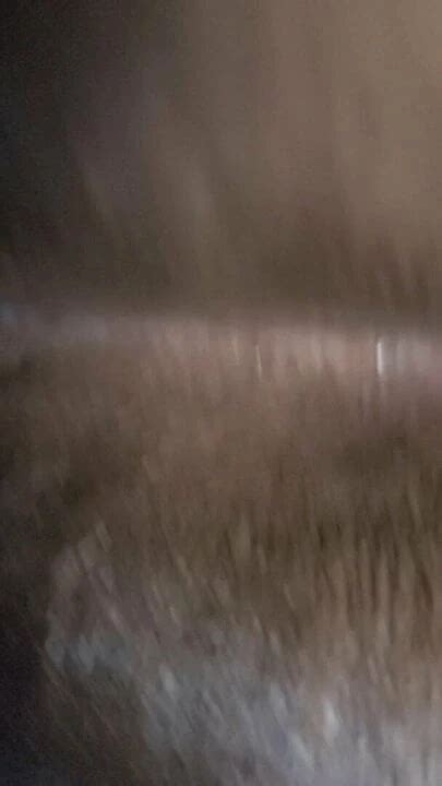 Ebony BBW Anal Sex Big Ass Big Ass Porn XHamster