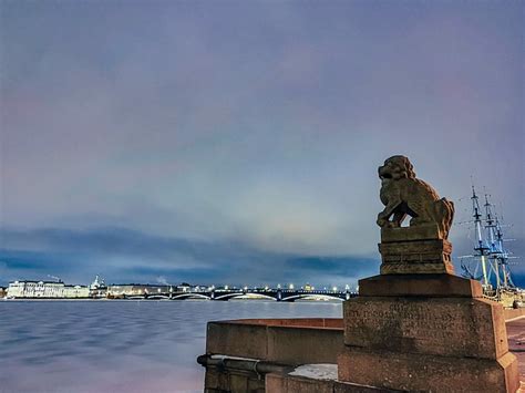 Peter St Petersburg Lions - Free photo on Pixabay
