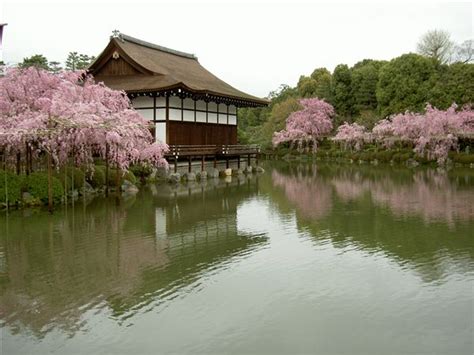 桜・平安神宮 京都観光研究所周辺名所アクセス地図写真