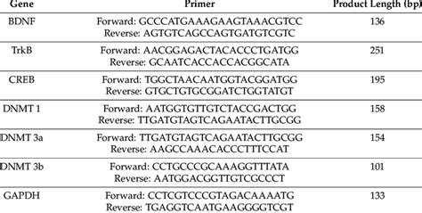 Primer Sequence Of Real Time Quantitative Pcr Download Scientific