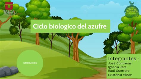 ciclo del azufre Microbiología utalca 2022 by Cris Tobal on Prezi