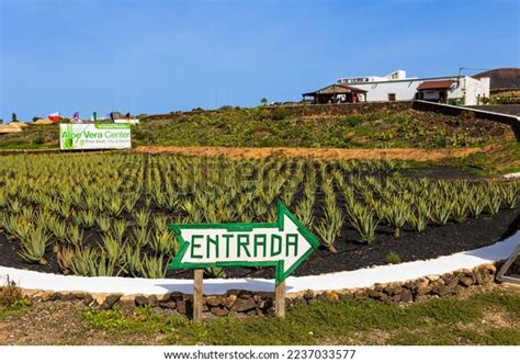 934 Fuerteventura Sign Images Stock Photos And Vectors Shutterstock