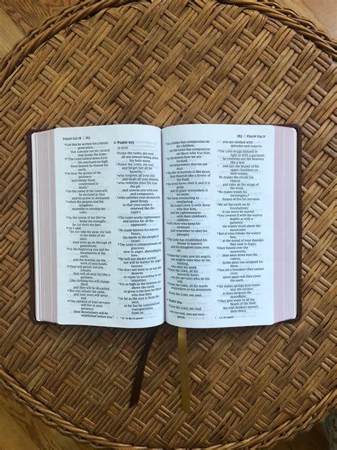 Zondervan Genuine Leather Bibles