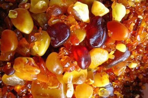 Latvija | Sweet Travel | Latvia, Sweet, Latvian