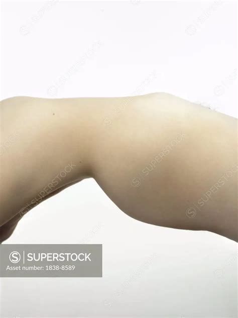 Nude Woman S Waist Superstock