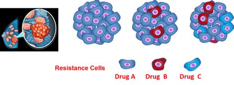AI and Microfluidics for Cancer Therapy | dinhngocduy 