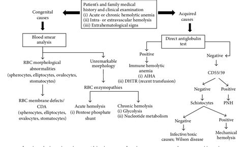 Hemosiderinuria Semantic Scholar