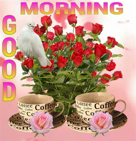 Good Morning Rose Bouquet And Coffee Pictures Photos And Images For