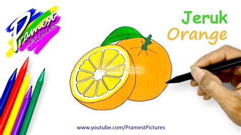 8800 Koleksi Gambar Buah Jeruk Untuk Kolase HD - Kumpulan Gambar Kolase